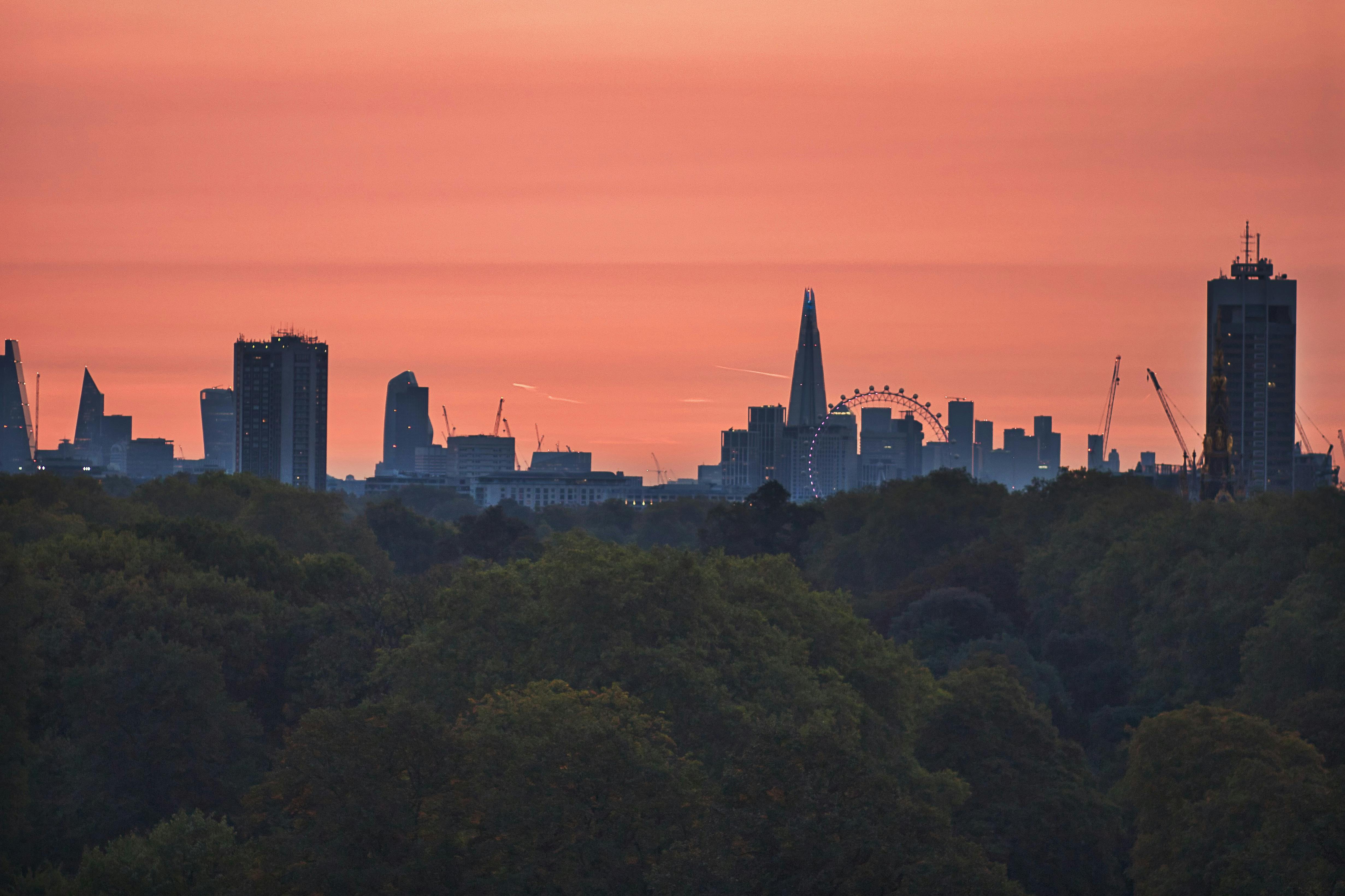 Silhouette of Buildings · Free Stock Photo