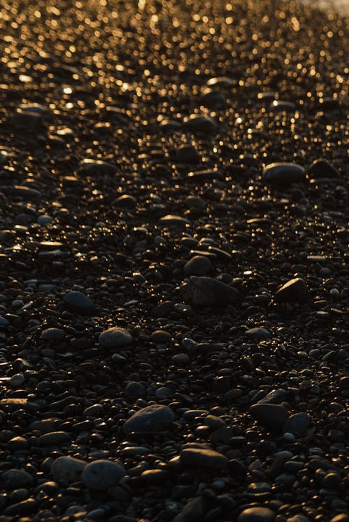 Pebbles on the Beach During Sunset