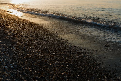 Gratis lagerfoto af hav, havskum, sand