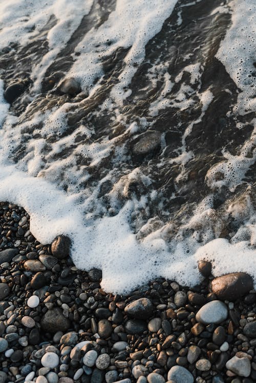 Foto profissional grátis de água, espuma do mar, fechar-se