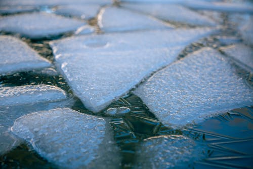 Foto profissional grátis de água, ártico, azul
