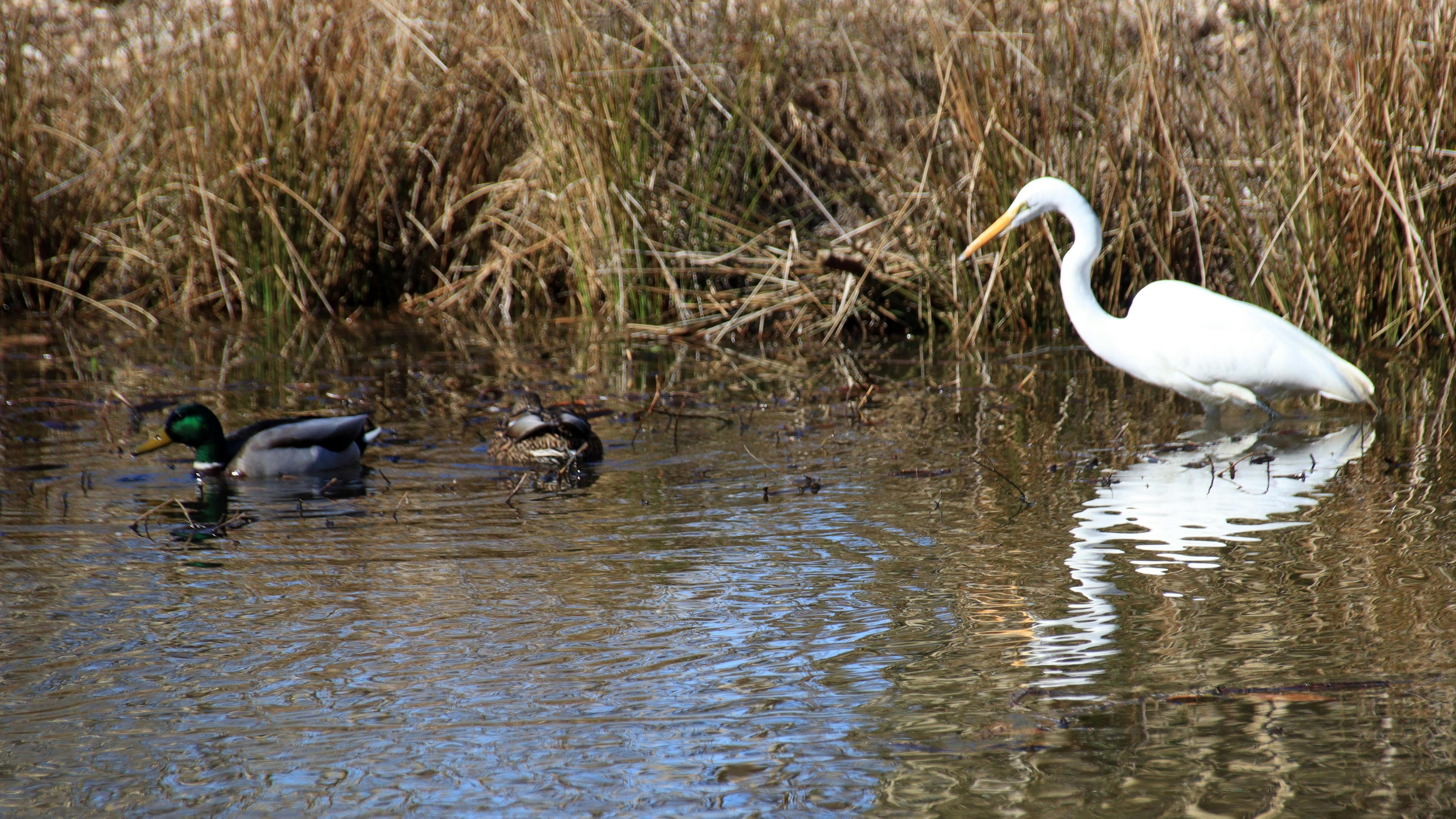 Wall art project – Eclectic Gallery Wall