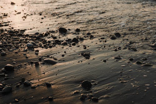 akşam, çakıl Taşları, deniz içeren Ücretsiz stok fotoğraf