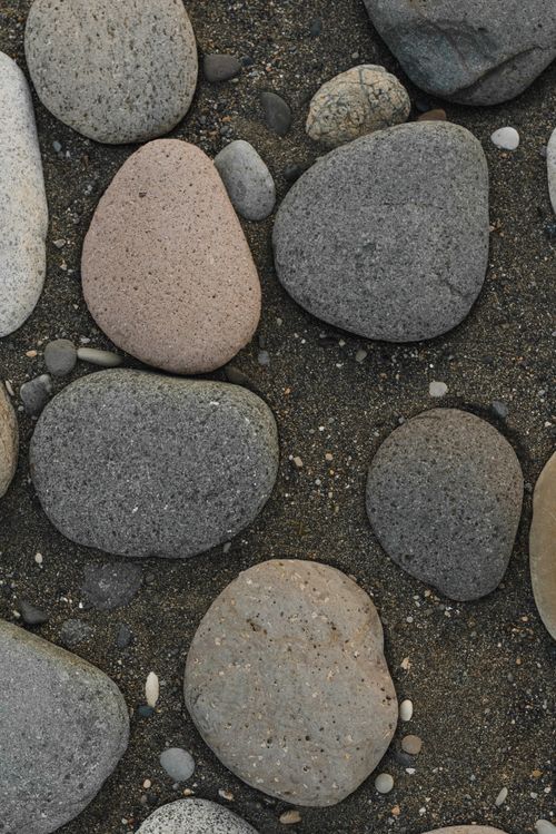 Free Close-up of smooth pebbles on a sandy beach surface, showcasing natural textures. Stock Photo
