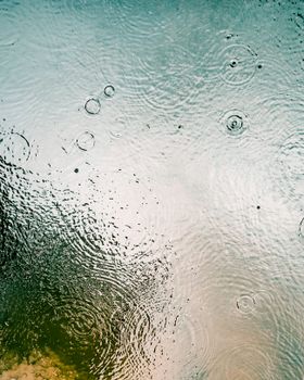 Elegant close-up of raindrops creating ripples on a tranquil water surface, capturing nature's subtle movements.