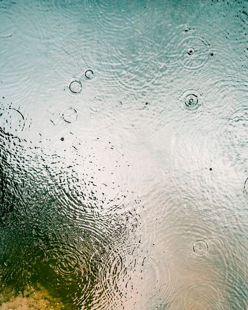 Free Elegant close-up of raindrops creating ripples on a tranquil water surface, capturing nature's subtle movements. Stock Photo