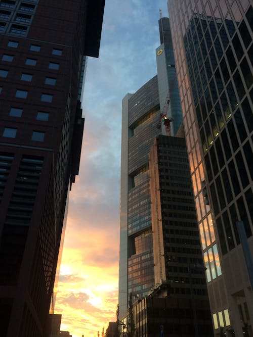 View of Skyscrapers at Sunset