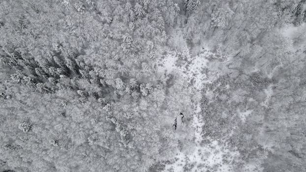 A breathtaking aerial view of a snow-covered forest in Poráč, Slovakia during winter.