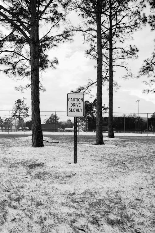 Grayscale Photo of a Road Sign Under a Tree