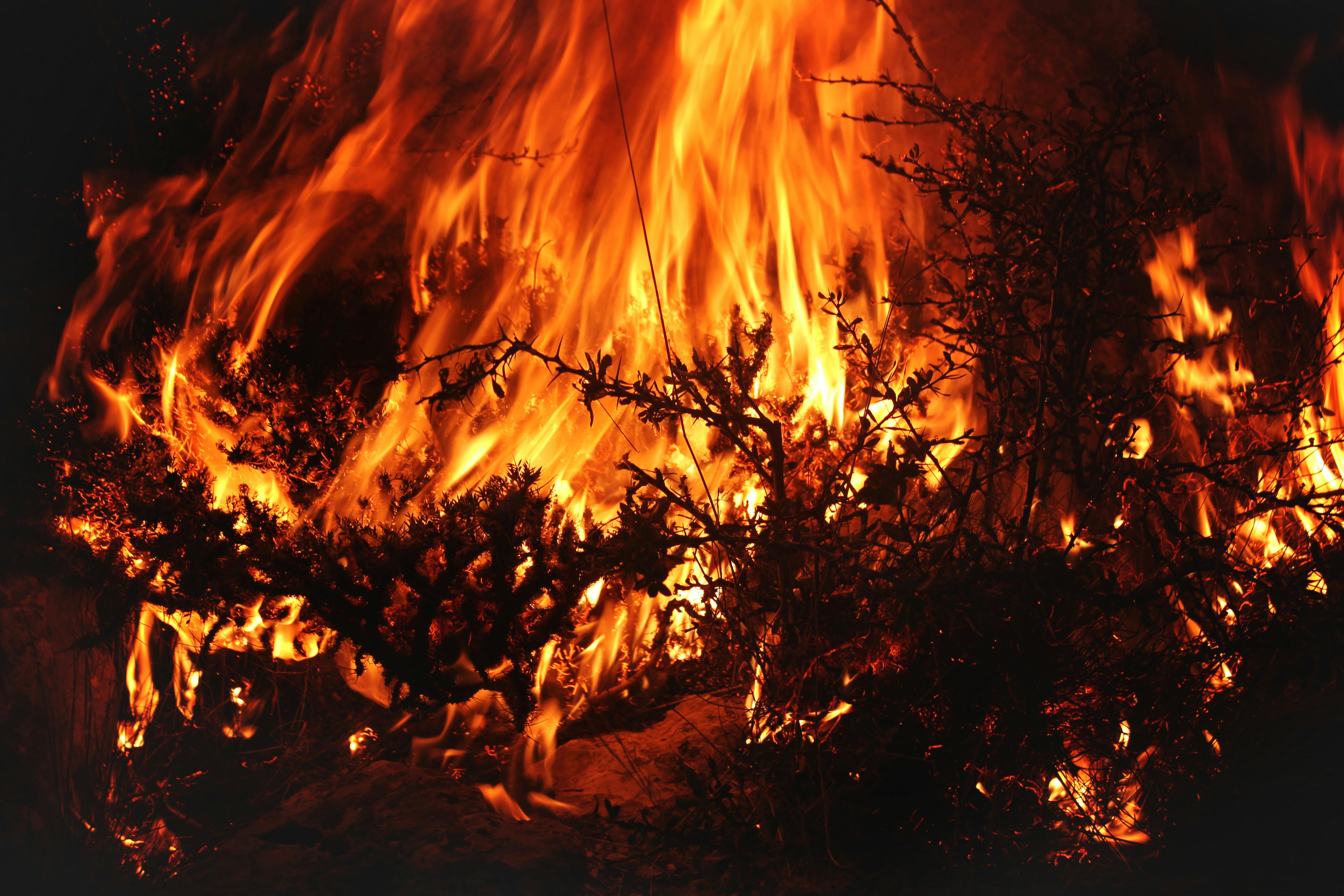 Free stock photo of black, blue, blue fire