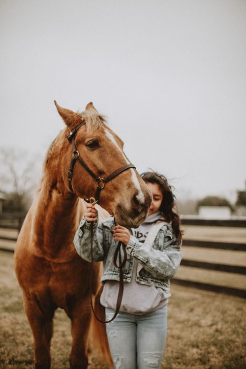 Free A woman stands with a horse, holding its leash on a ranch. Stock Photo