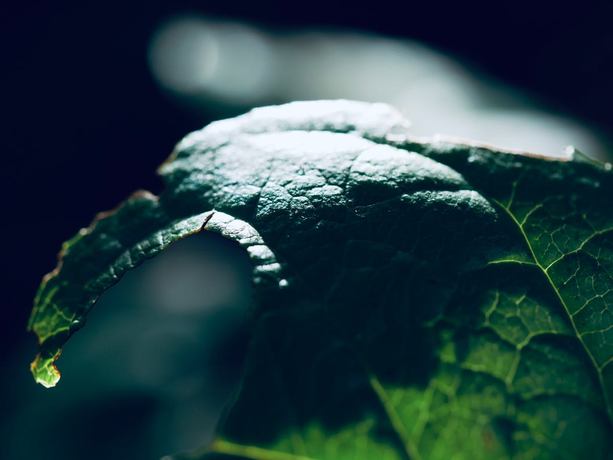 Stylized illustration of virtual avatar on screen