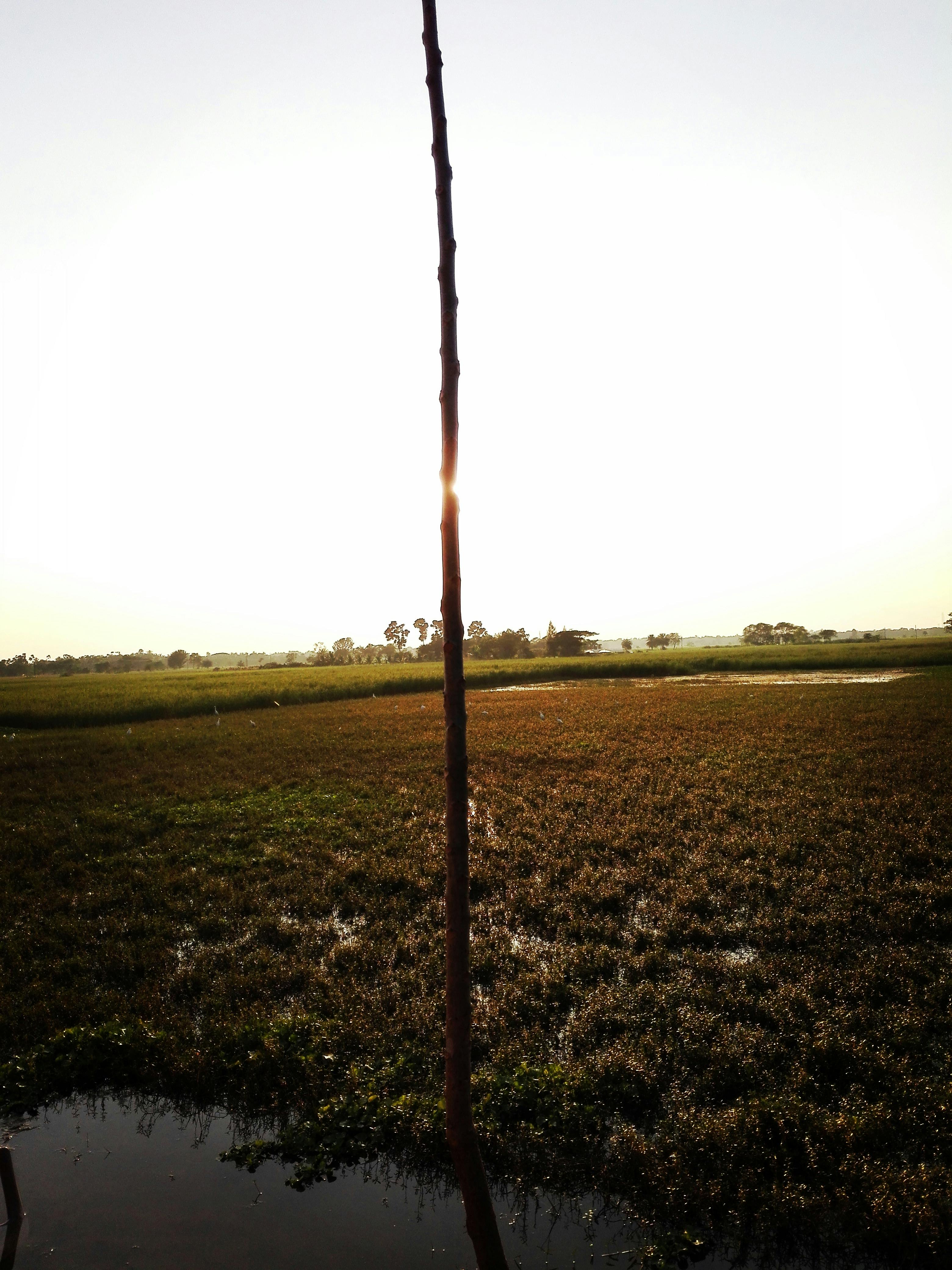 Free stock photo of open field, sunset, village