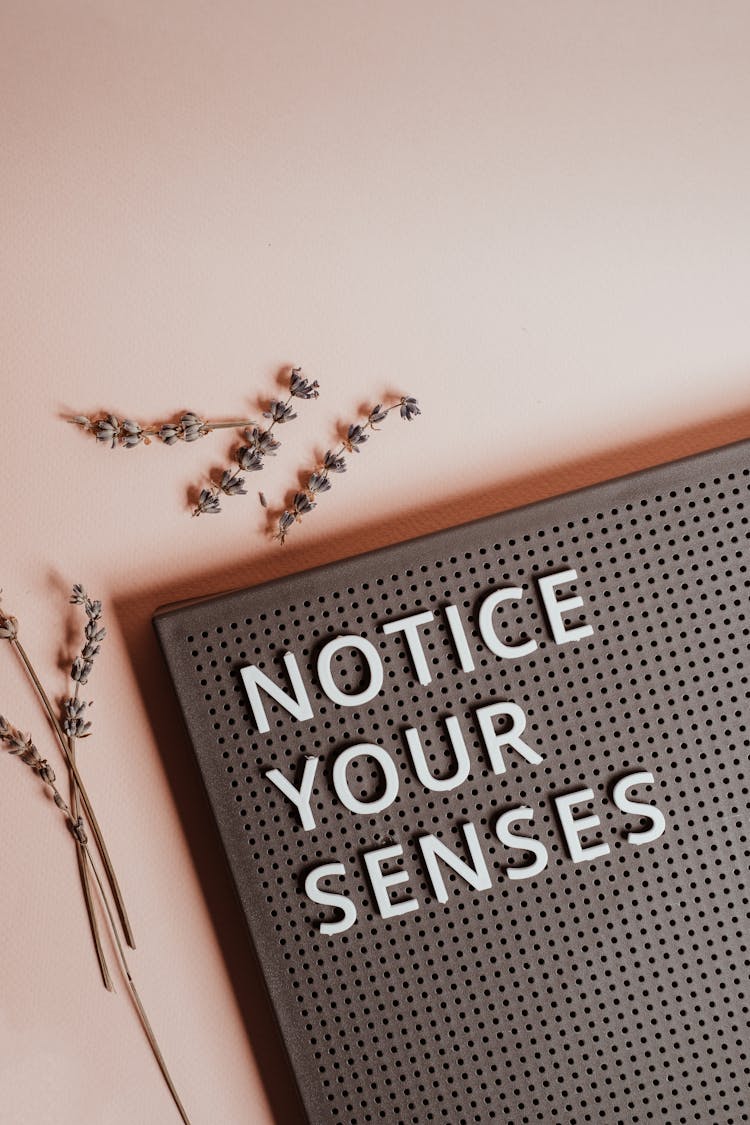 The Phrase Notice Your Senses On A Pin Board