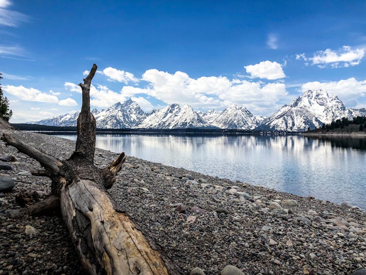 Teton Range And Lake Jackson In Wyoming