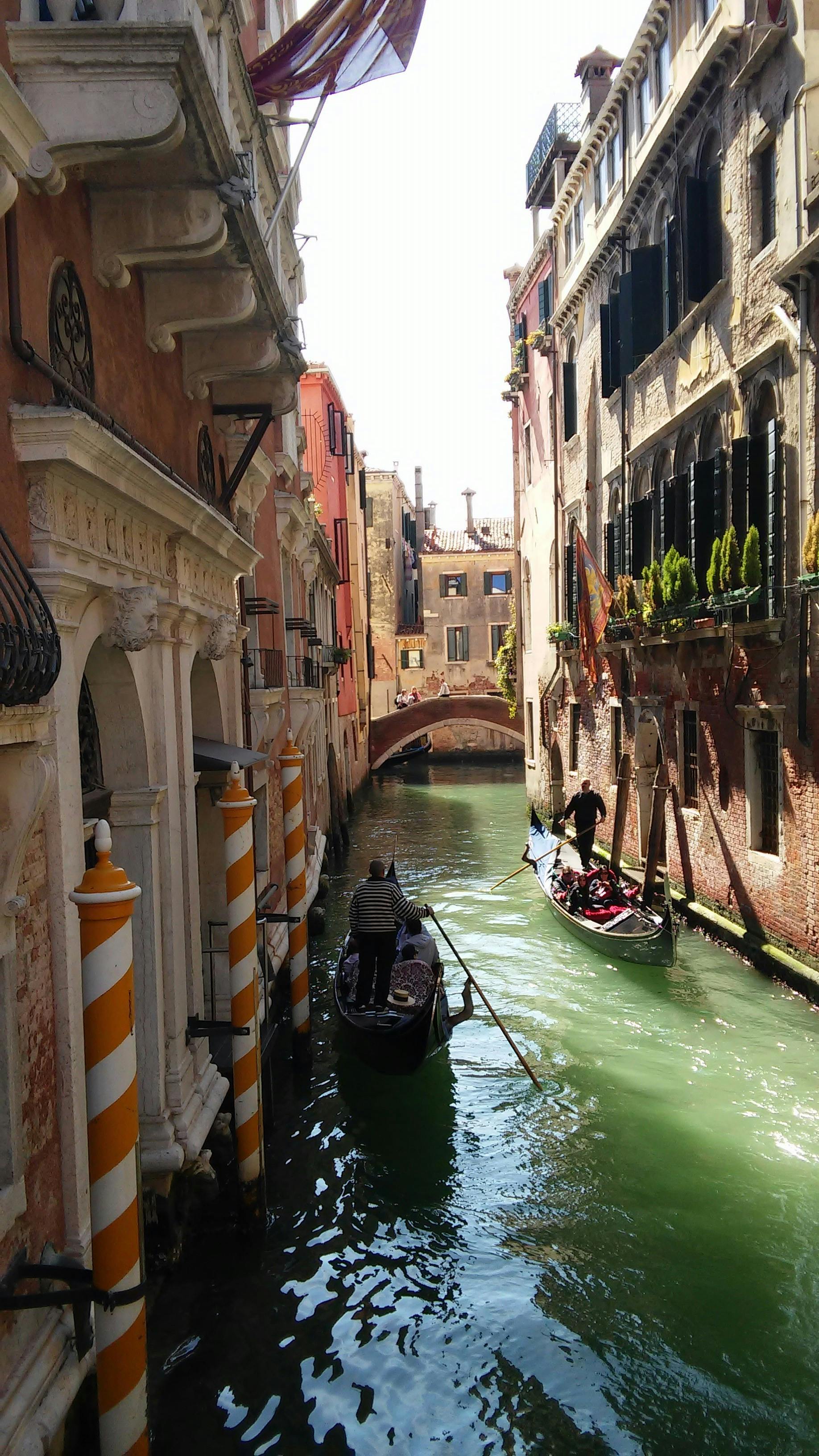 TikTok creator engaging with fans during live streaming session