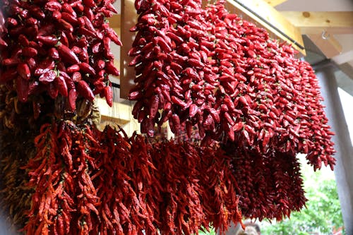 Free stock photo of chili peppers Stock Photo