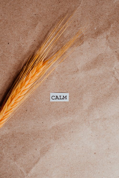 Brown Paper with Wheat Grass and Paper Cut Out with Letters