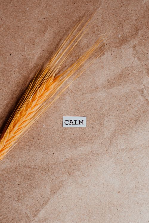 Free A simple visual with wheat on brown paper and the word 'CALM'. Stock Photo