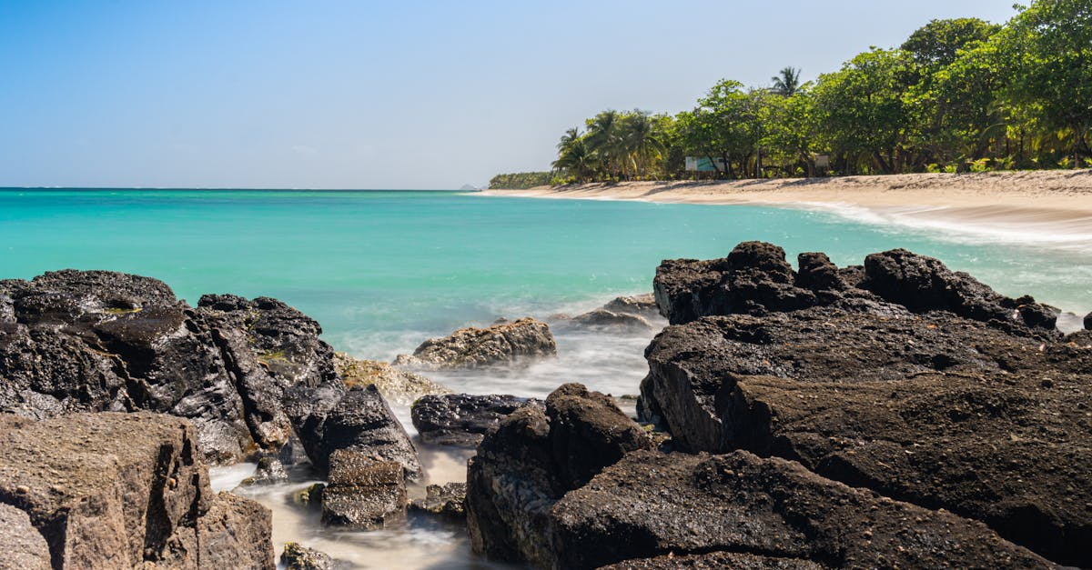 ¿Cómo se gestionan residuos en destinos de playa en Honduras y qué puede hacer el visitante? ¿Cómo se gestionan residuos en destinos de playa en Honduras y qué puede hacer el visitante?