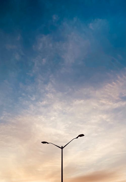 シルエット, 垂直ショット, 街灯柱の無料の写真素材