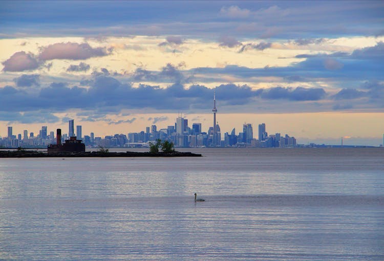 City Skyline Of Toronto Canada From Across Lake Ontario