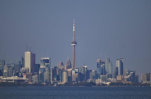 Landscape Photo of High Rise Buildings