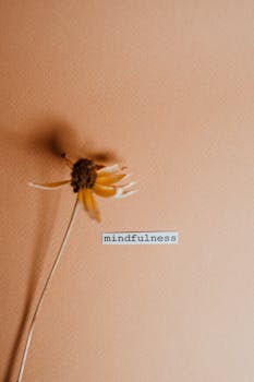 A minimalist photo featuring a yellow flower and the word 'mindfulness' on a warm background.