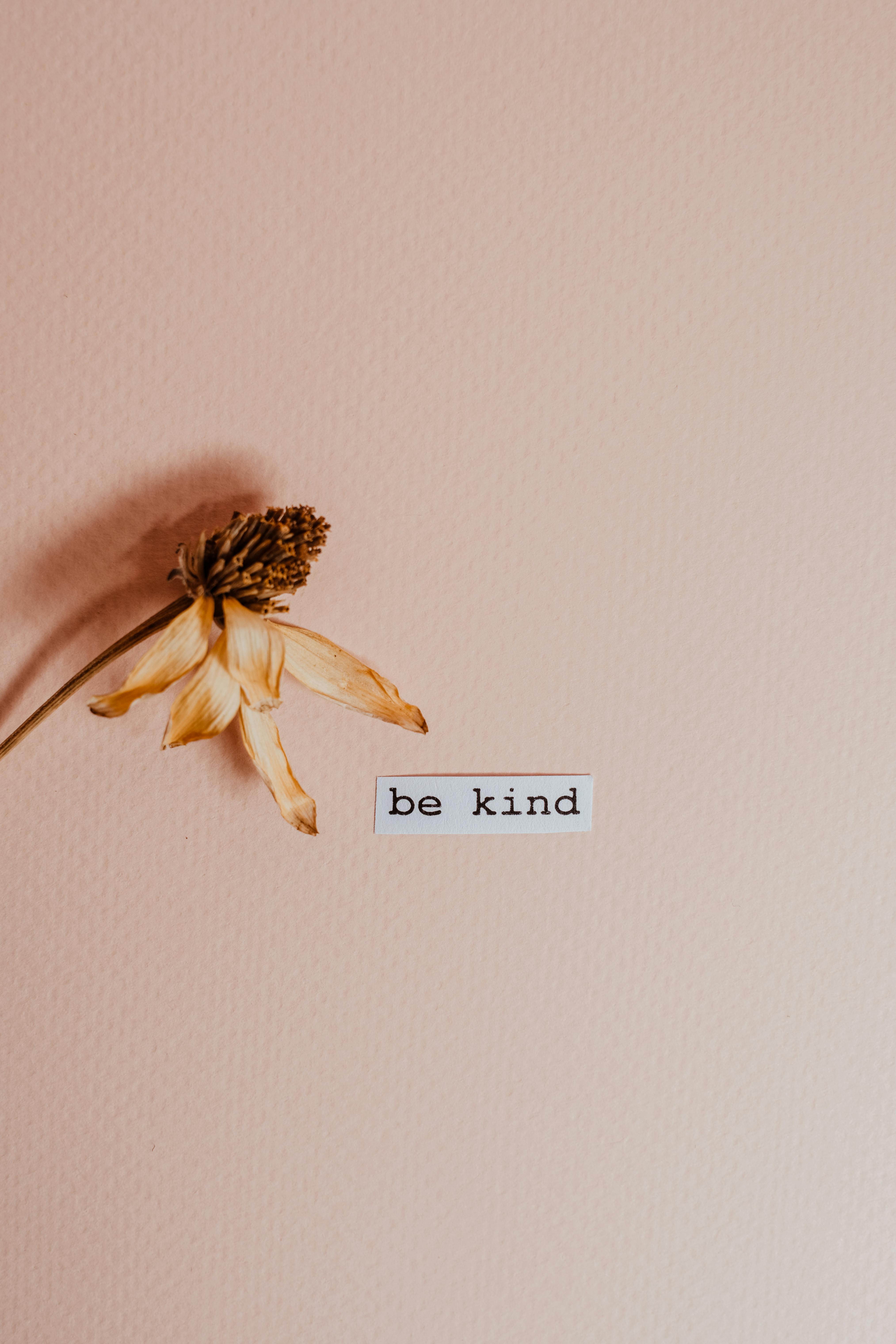 Kindness quotes HD wallpapers  Pxfuel