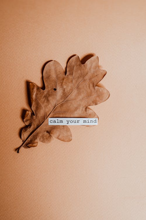 Brown Dried Leaf with a Quote