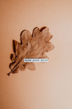 Protecting Your Mental Health: Digital Detox and Positive Thinking