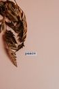 Brown and Black Leaf on White Wall