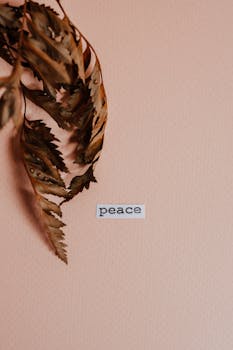 A minimalist aesthetic featuring dried leaves on pastel background with 'peace' text.