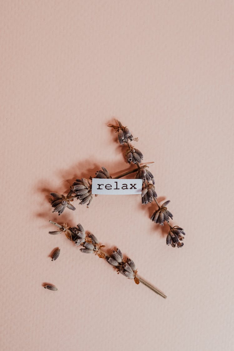 Dried Flowers In Beige Background