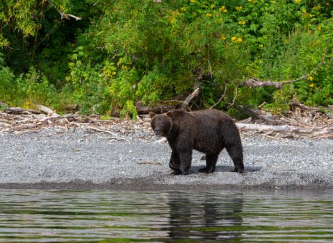 Inside Passage small-ship cruise — Alaska