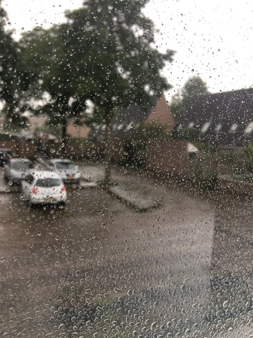 Free stock photo of netherlands, rain, rain drops