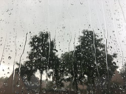 Free stock photo of netherlands, rain drops, rainy day