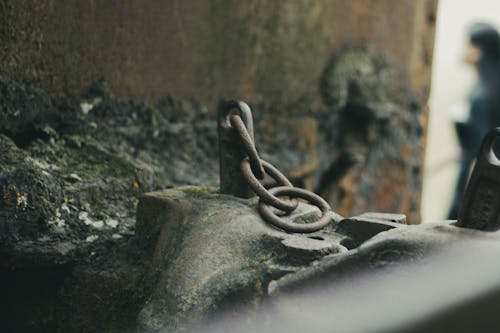 Free stock photo of chain, details, rust Stock Photo