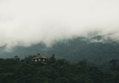 Fotos de stock gratuitas de árboles verdes, casa, con niebla