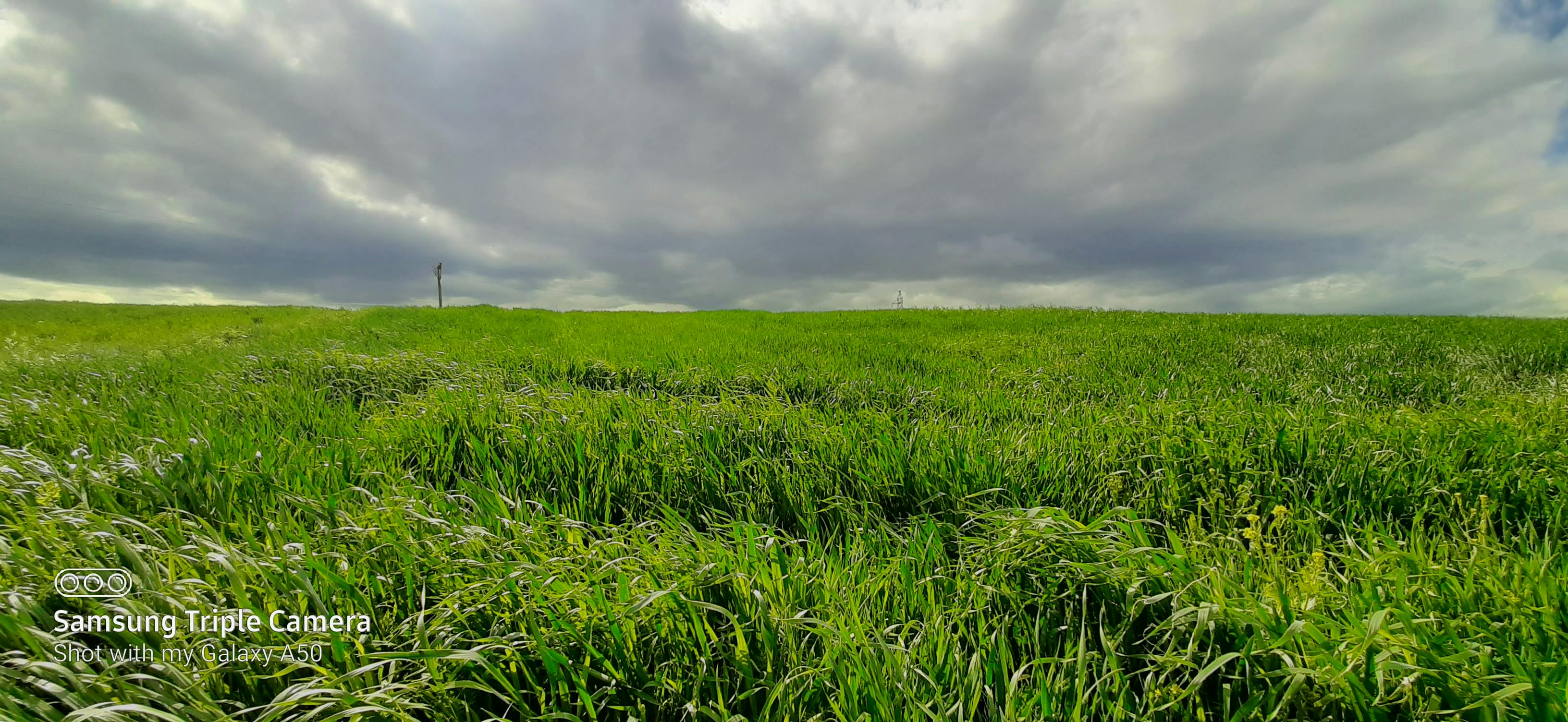 Rumänisches Athenäum bei Nacht