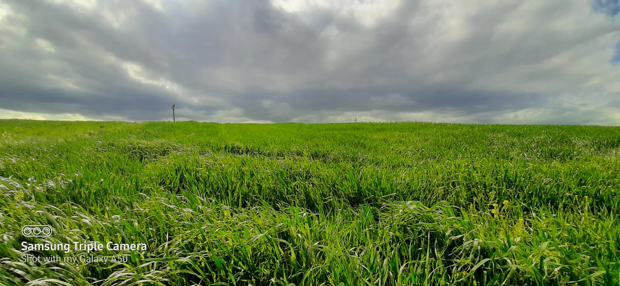 Rumänisches Athenäum bei Nacht