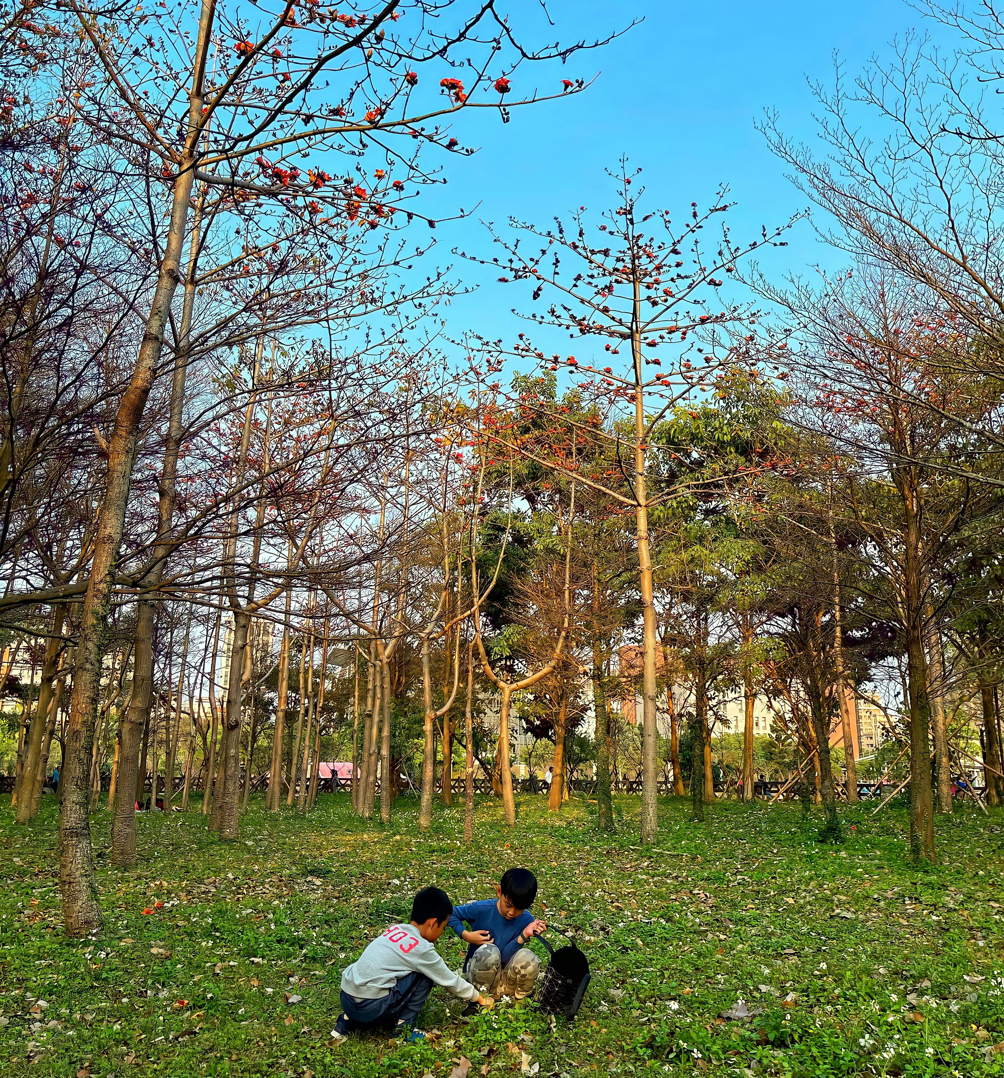 基辅圣安德烈教堂在安德烈斜坡顶端