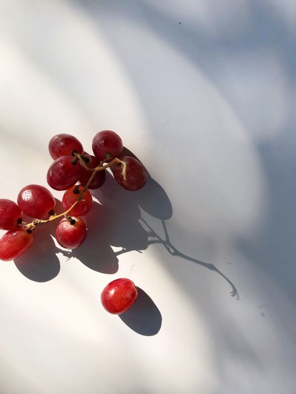 Blog 14