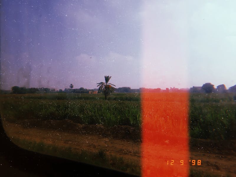 Fence Repair Services