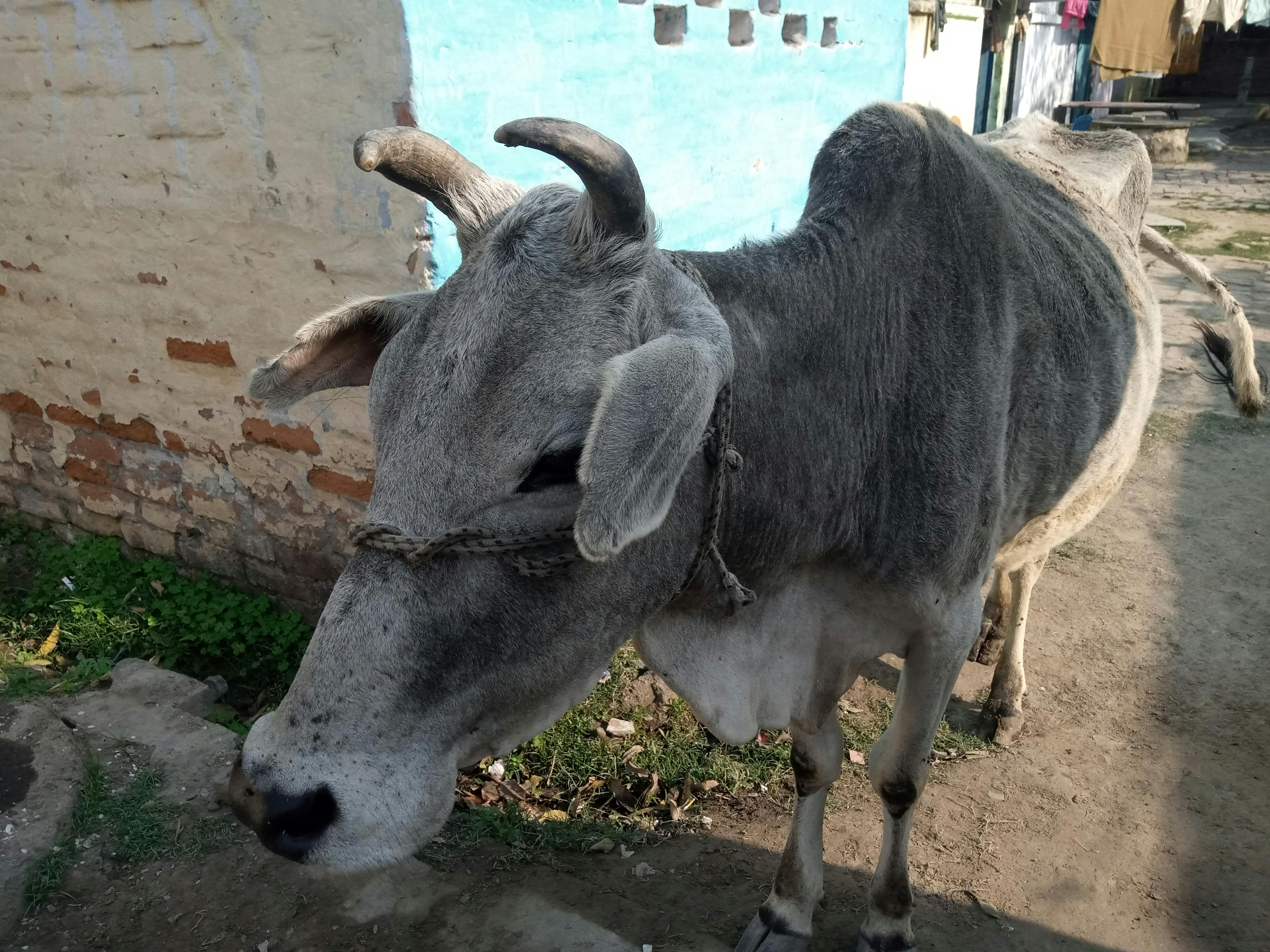 Representación abstracta de la anatomía del suelo pélvico