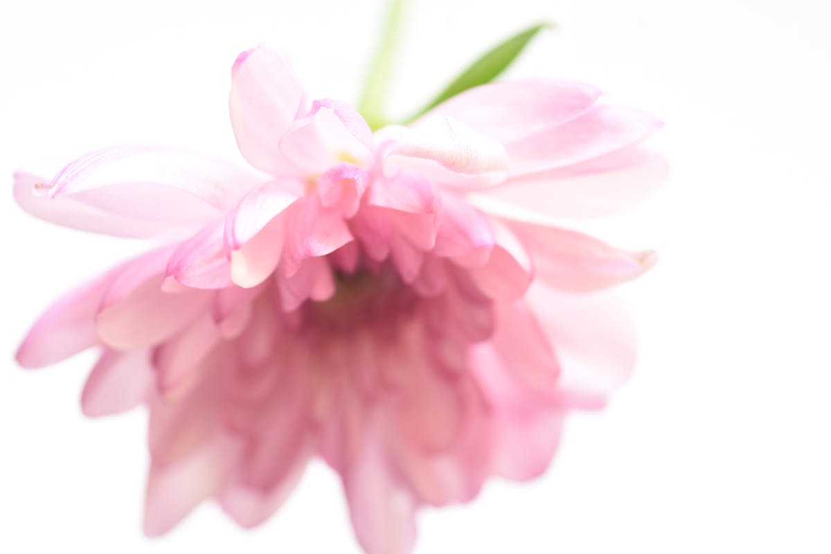 Halona Beach Cove drone aerial view, Oahu Hawaii