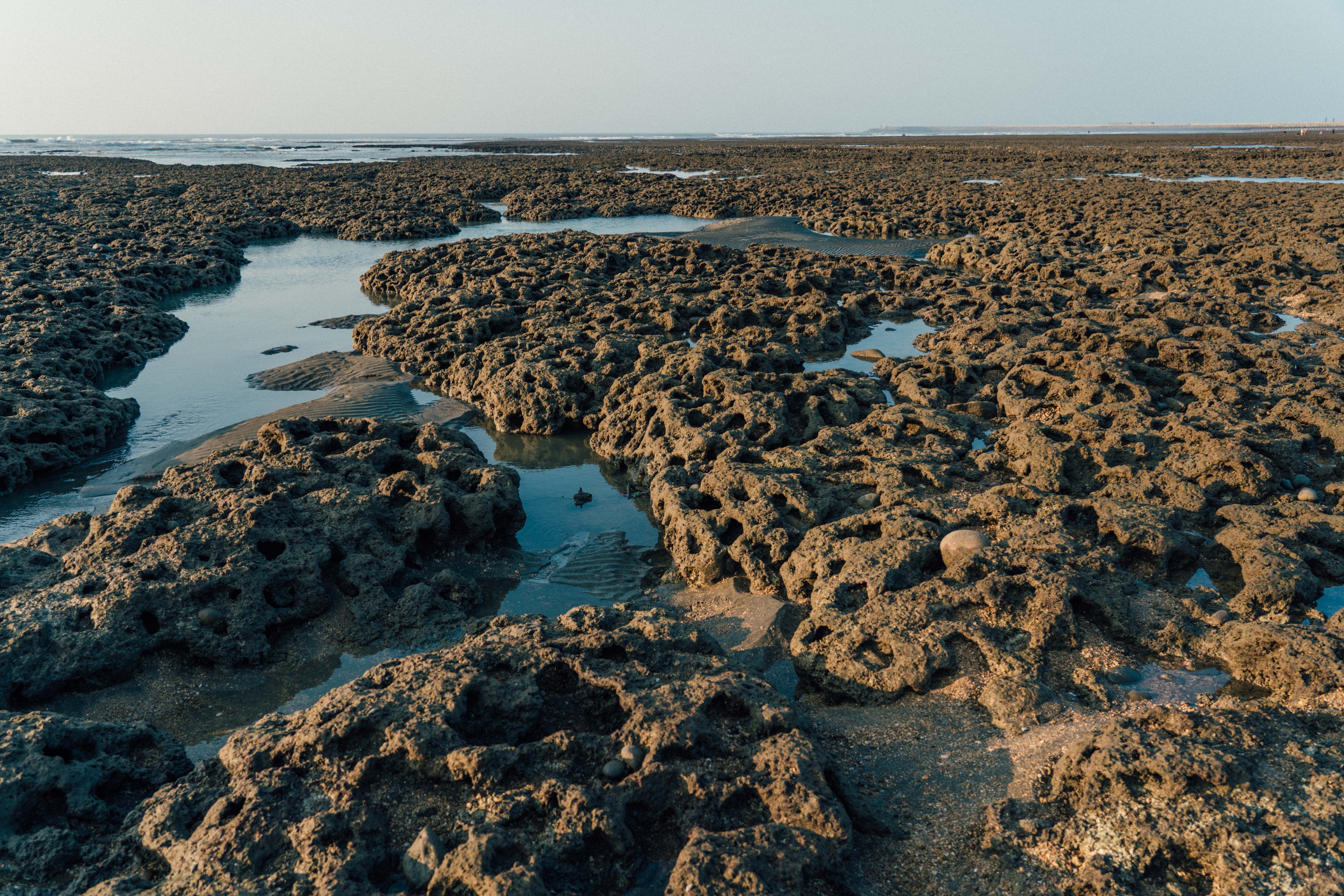 earth ocean formation