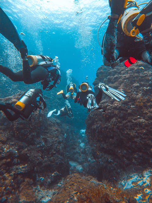 Underwater Photograph of Divers with Equipment and Rocks