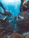 Underwater Photograph of Divers with Equipment and Rocks