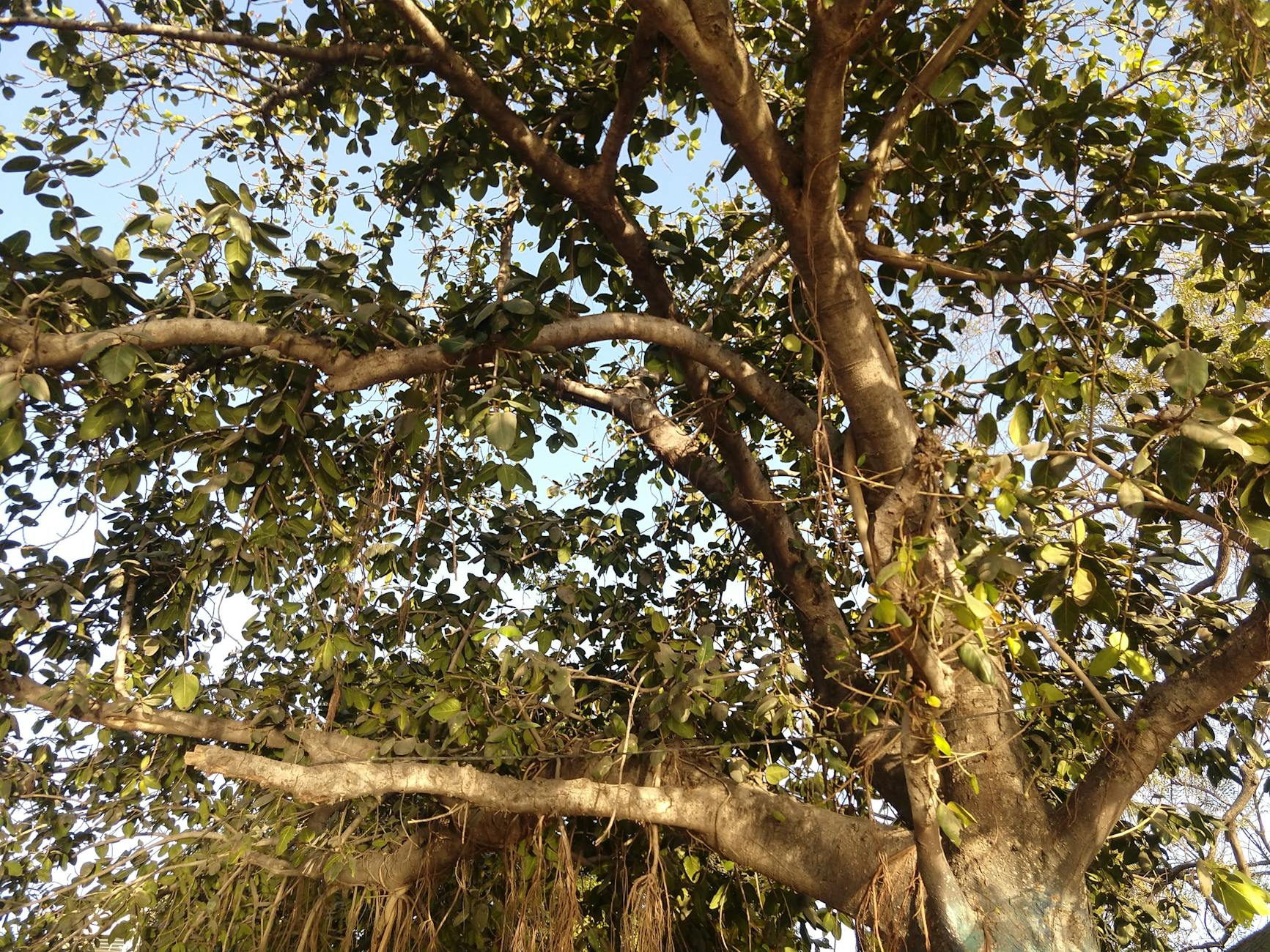 科教館室內互動展區